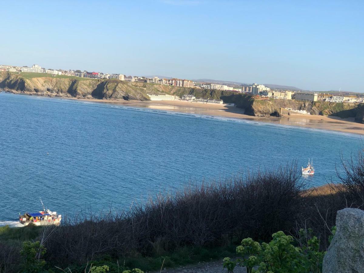 Hidden Treasure Apartment New Quay Екстериор снимка